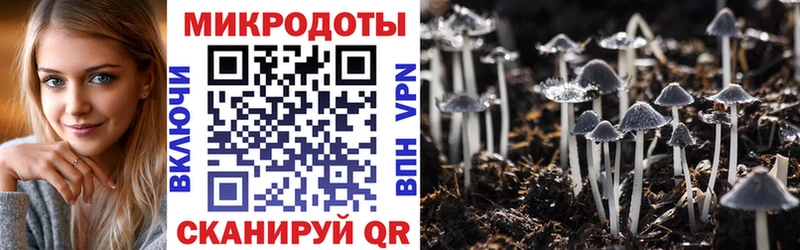 Галлюциногенные грибы MAGIC MUSHROOMS  shop как зайти  Белоозёрский 